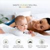 Full size Aqua Blue 100-Percent Certified Organic Cotton Sheet Set