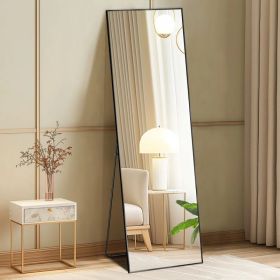 Floor Standing Mirror, Wall Mirror With Stand Aluminum Alloy Thin Frame,21'X64',Black-rect (Option: Black)
