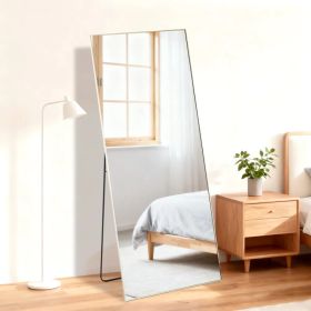 65"x24" Floor Mirror with Aluminum Alloy Frame  Full Length Mirror with Stand Body Wall-Mounted Mirrors For Bedroom Bathroom (Option: golden/24x65--rect)